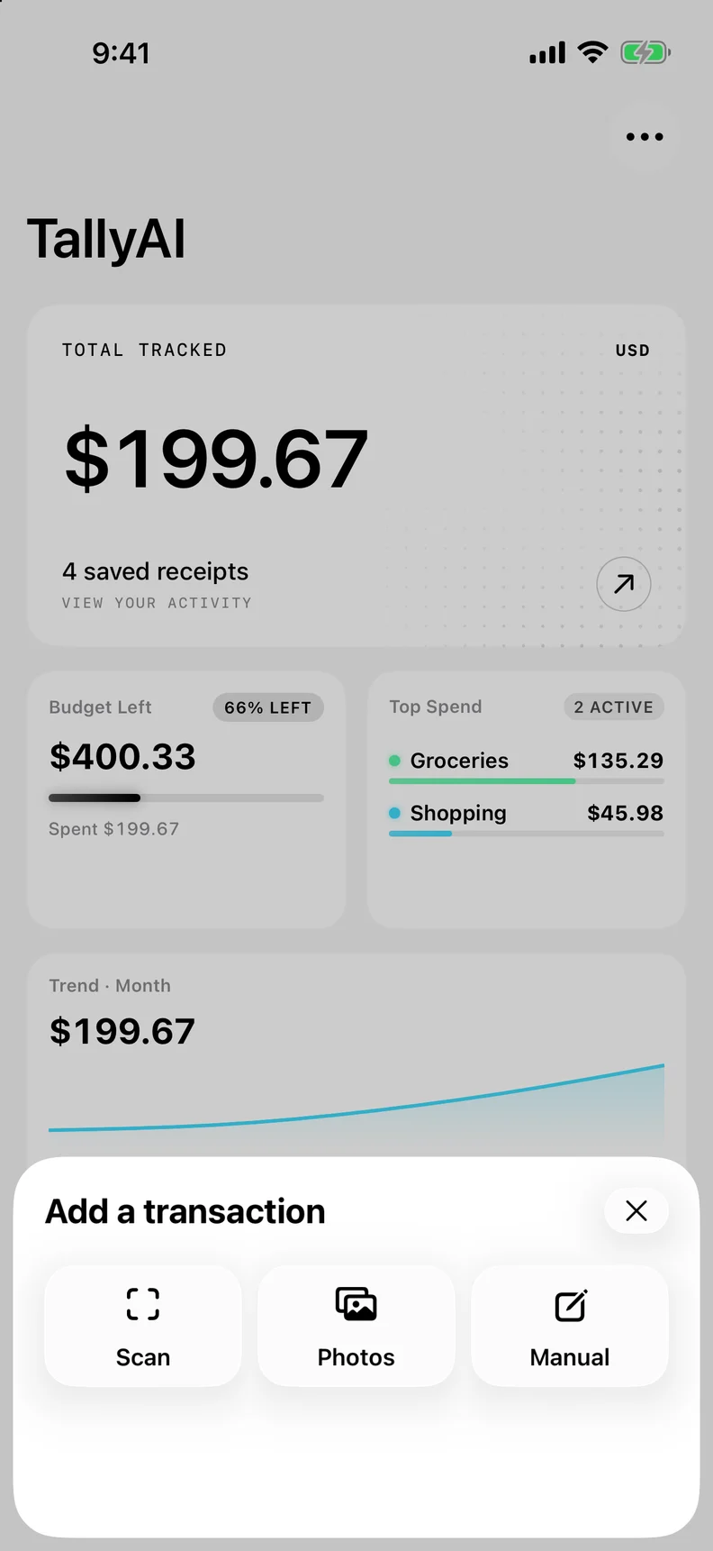 TallyAI receipt capture options