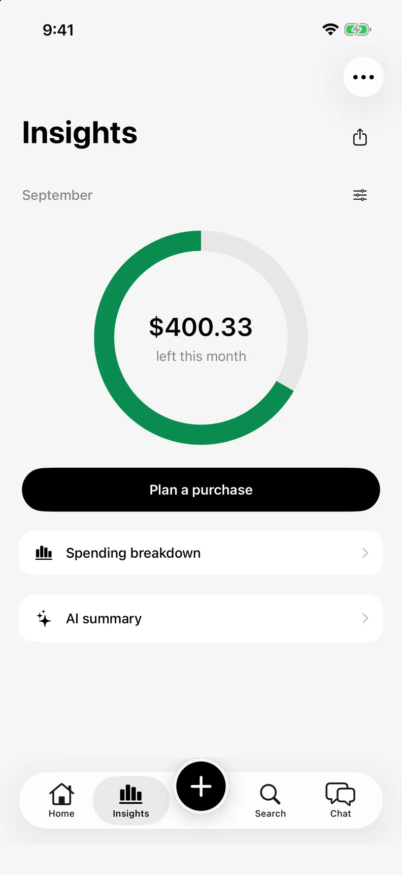 TallyAI monthly budget